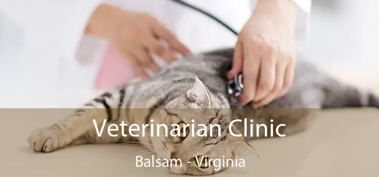 Veterinarian Clinic Balsam - Virginia