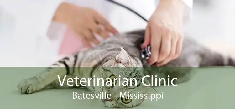 Veterinarian Clinic Batesville - Mississippi