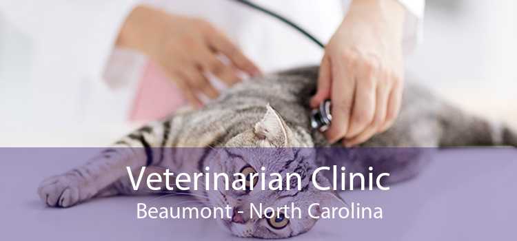 Veterinarian Clinic Beaumont - North Carolina