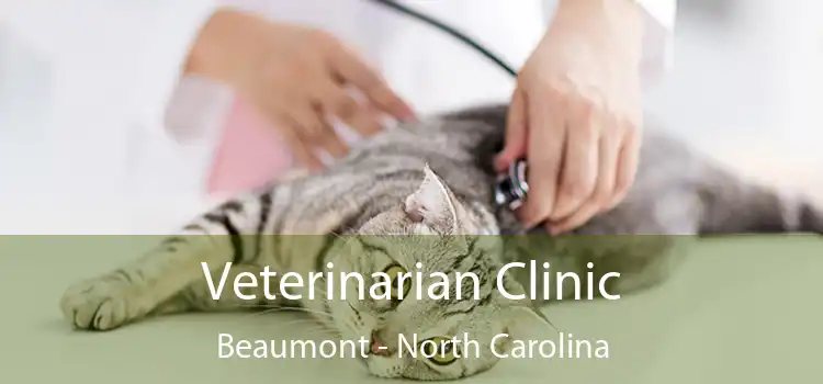 Veterinarian Clinic Beaumont - North Carolina