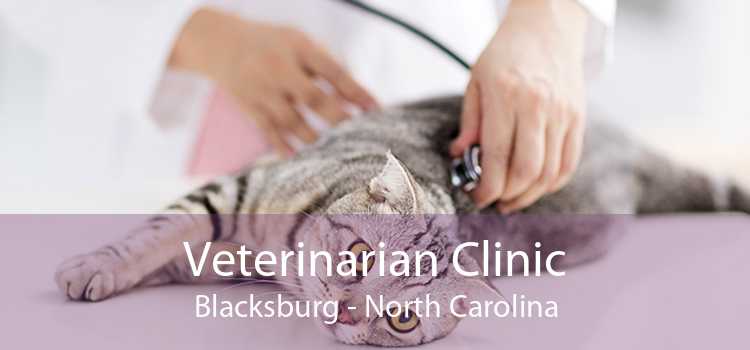 Veterinarian Clinic Blacksburg - North Carolina