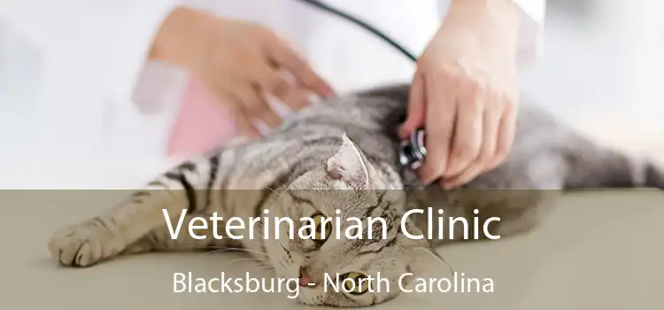 Veterinarian Clinic Blacksburg - North Carolina