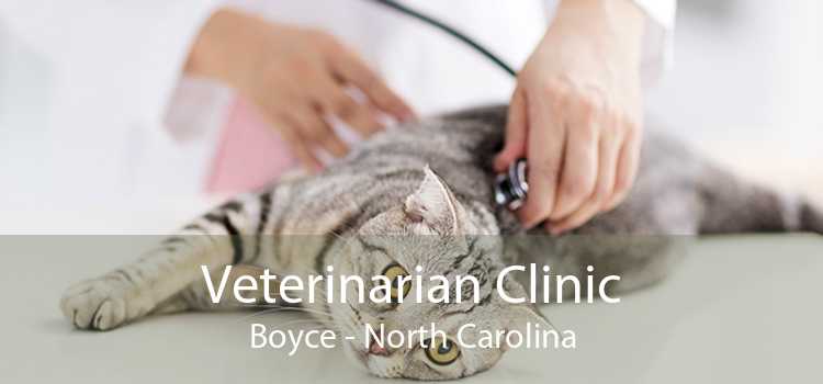 Veterinarian Clinic Boyce - North Carolina