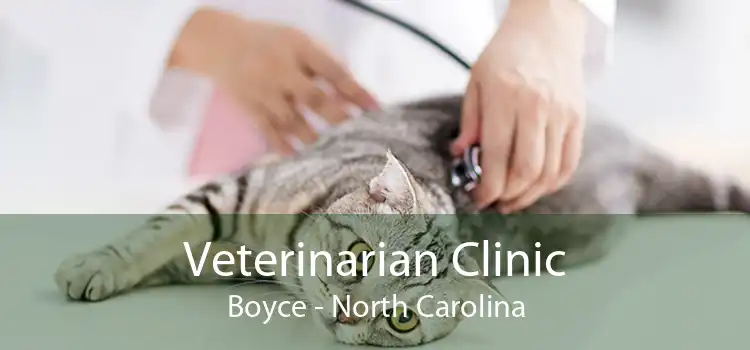 Veterinarian Clinic Boyce - North Carolina