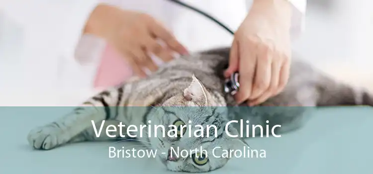 Veterinarian Clinic Bristow - North Carolina