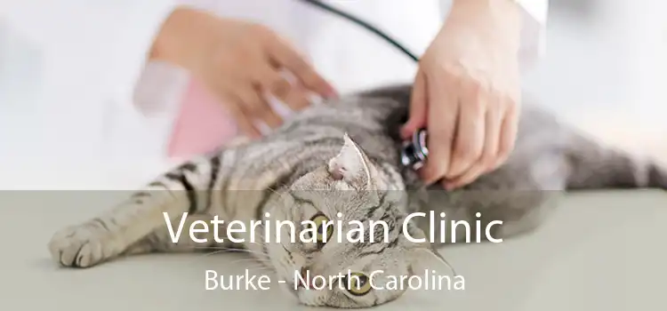 Veterinarian Clinic Burke - North Carolina