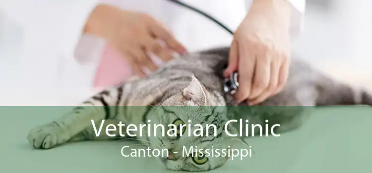 Veterinarian Clinic Canton - Mississippi