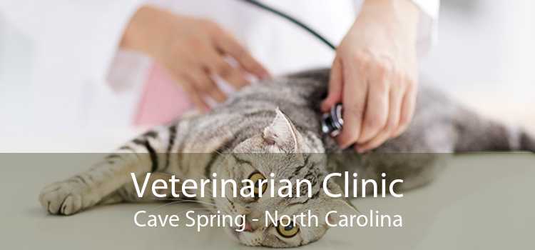 Veterinarian Clinic Cave Spring - North Carolina