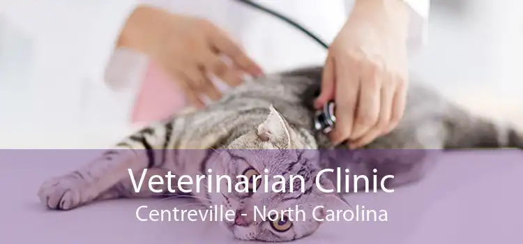 Veterinarian Clinic Centreville - North Carolina