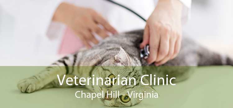 Veterinarian Clinic Chapel Hill - Virginia