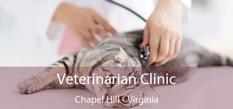 Veterinarian Clinic Chapel Hill - Virginia