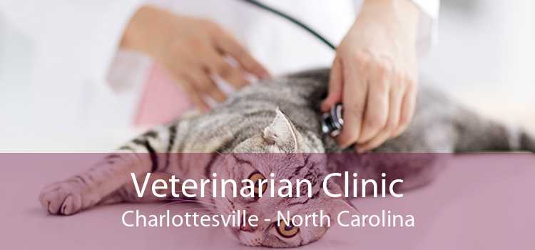 Veterinarian Clinic Charlottesville - North Carolina