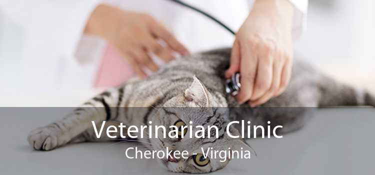 Veterinarian Clinic Cherokee - Virginia