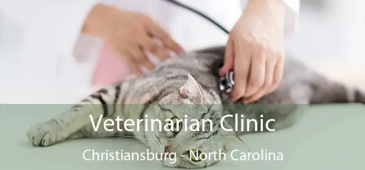 Veterinarian Clinic Christiansburg - North Carolina