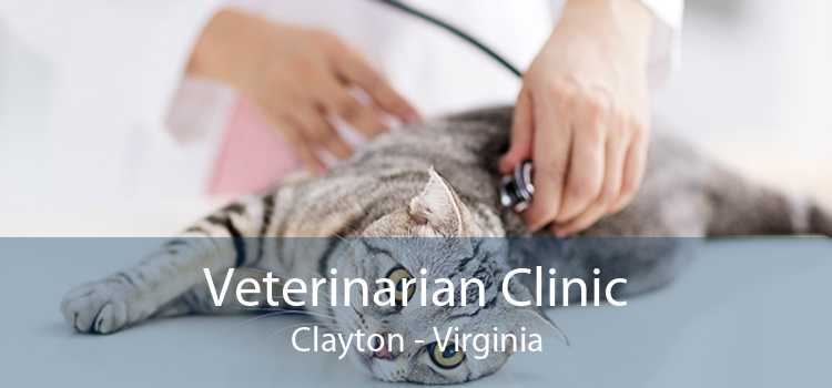 Veterinarian Clinic Clayton - Virginia