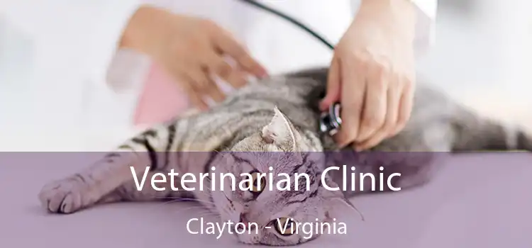 Veterinarian Clinic Clayton - Virginia