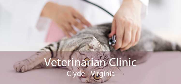 Veterinarian Clinic Clyde - Virginia