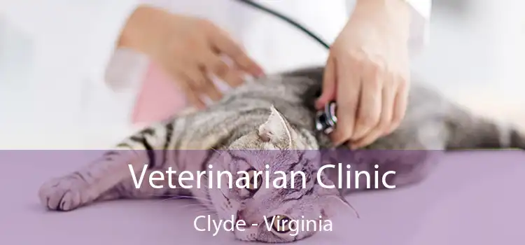 Veterinarian Clinic Clyde - Virginia