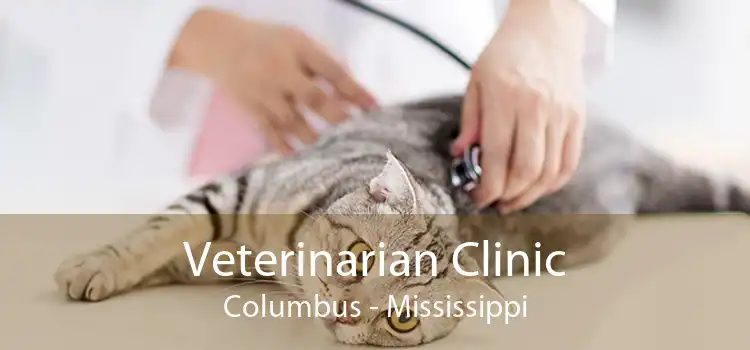 Veterinarian Clinic Columbus - Mississippi