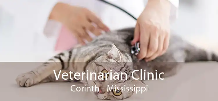 Veterinarian Clinic Corinth - Mississippi