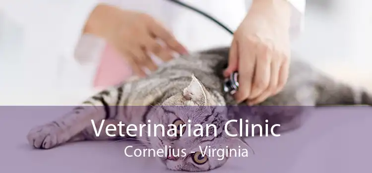 Veterinarian Clinic Cornelius - Virginia