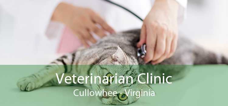 Veterinarian Clinic Cullowhee - Virginia