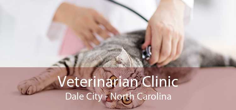Veterinarian Clinic Dale City - North Carolina
