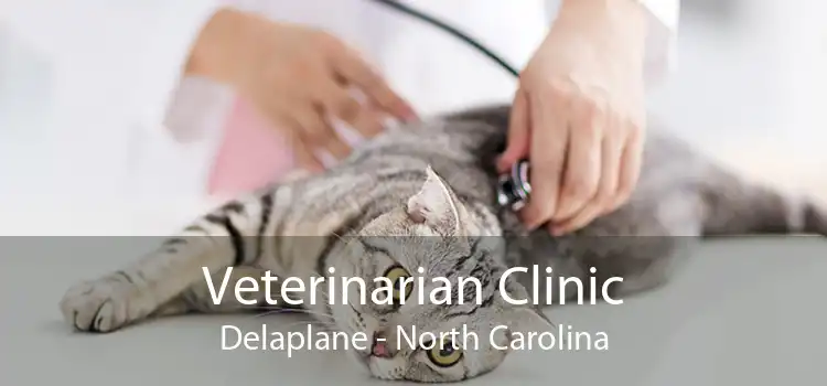Veterinarian Clinic Delaplane - North Carolina