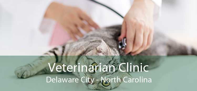 Veterinarian Clinic Delaware City - North Carolina
