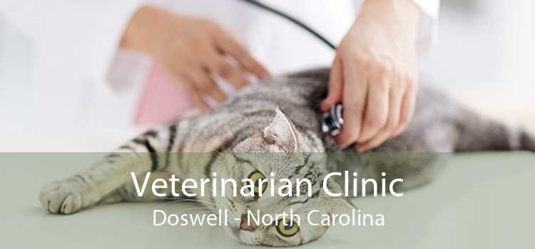 Veterinarian Clinic Doswell - North Carolina