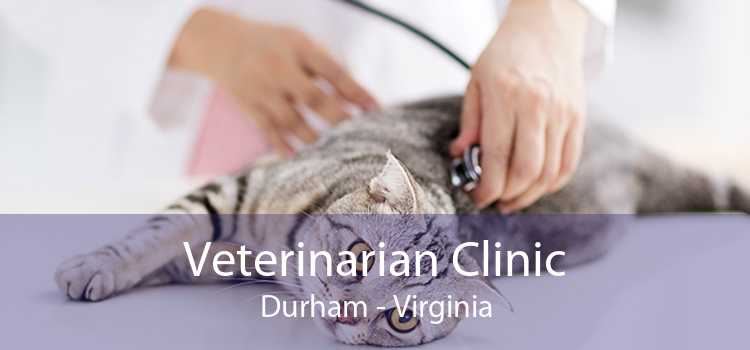 Veterinarian Clinic Durham - Virginia