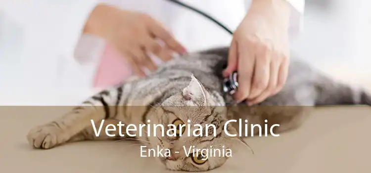 Veterinarian Clinic Enka - Virginia
