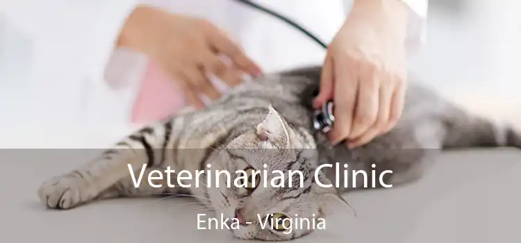 Veterinarian Clinic Enka - Virginia