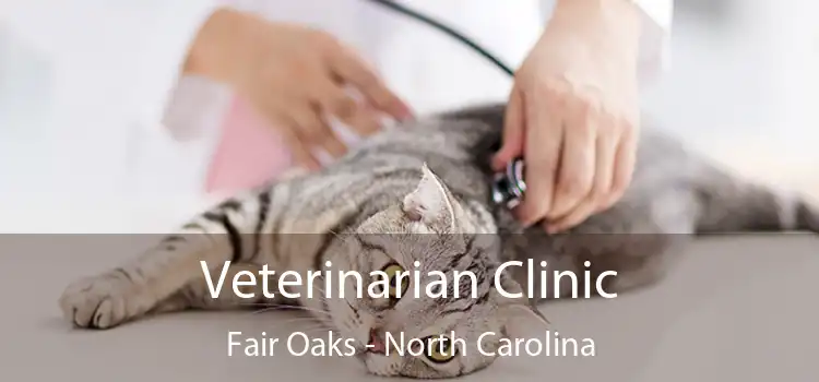 Veterinarian Clinic Fair Oaks - North Carolina