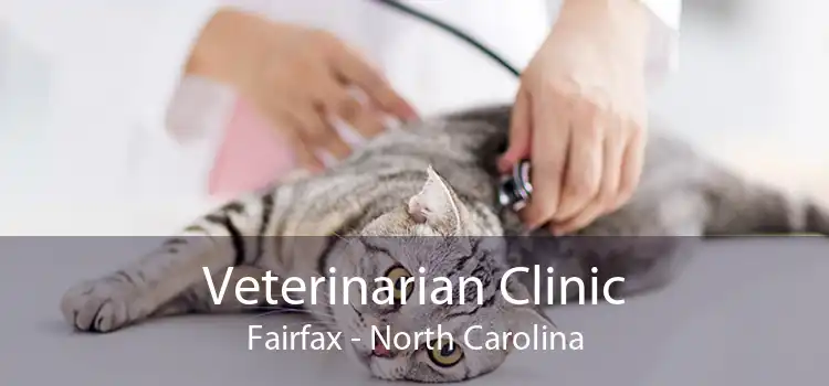 Veterinarian Clinic Fairfax - North Carolina