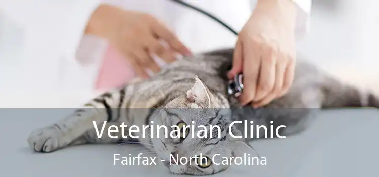 Veterinarian Clinic Fairfax - North Carolina