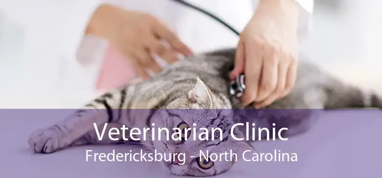 Veterinarian Clinic Fredericksburg - North Carolina
