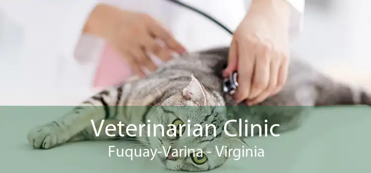 Veterinarian Clinic Fuquay-Varina - Virginia
