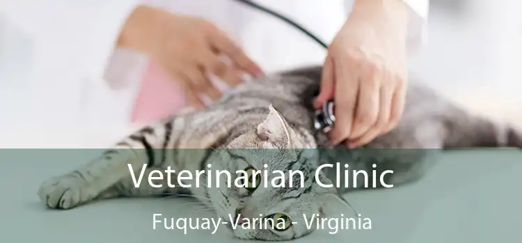 Veterinarian Clinic Fuquay-Varina - Virginia