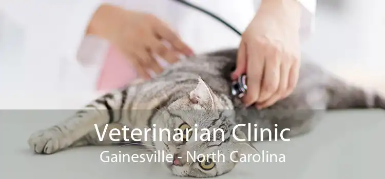 Veterinarian Clinic Gainesville - North Carolina