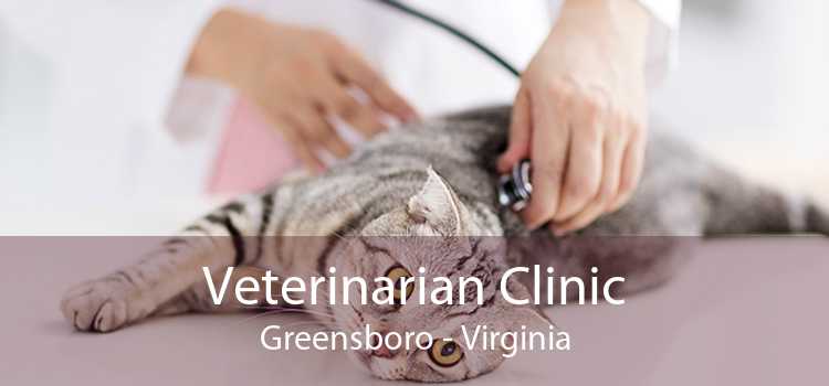 Veterinarian Clinic Greensboro - Virginia