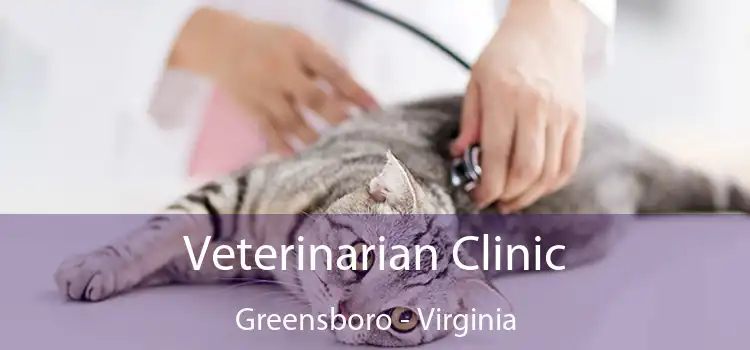 Veterinarian Clinic Greensboro - Virginia