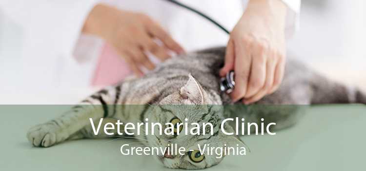 Veterinarian Clinic Greenville - Virginia