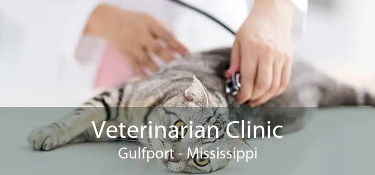 Veterinarian Clinic Gulfport - Mississippi
