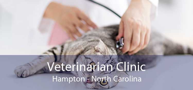 Veterinarian Clinic Hampton - North Carolina
