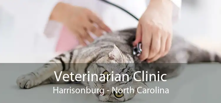 Veterinarian Clinic Harrisonburg - North Carolina