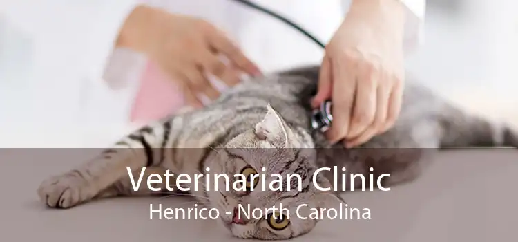 Veterinarian Clinic Henrico - North Carolina