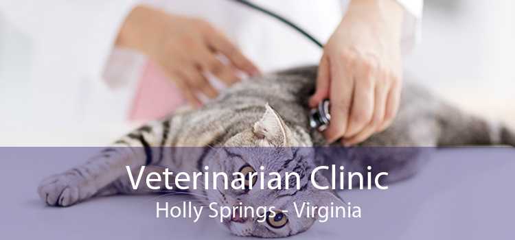 Veterinarian Clinic Holly Springs - Virginia