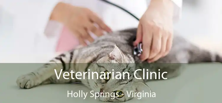 Veterinarian Clinic Holly Springs - Virginia