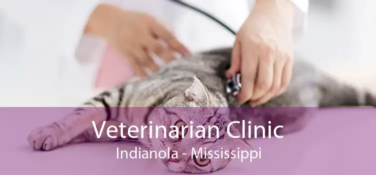 Veterinarian Clinic Indianola - Mississippi